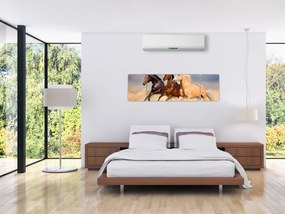 Obraz - Dzikie konie (170x50 cm)