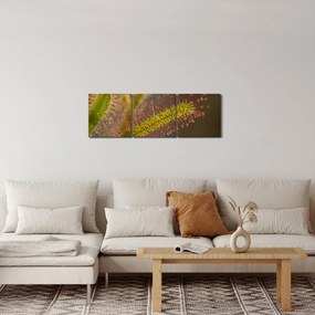 Obraz rośliny (z zegarem) (90x30 cm)