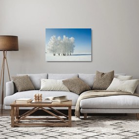 Obraz na szkle zaśnieżonego krajobrazu (70x50 cm)
