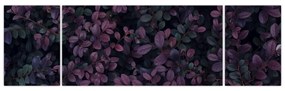 Obraz ciemnoczerwonych liści (170x50 cm)