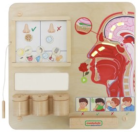 Masterkidz tablica edukacyjna zmysł węchu montessori