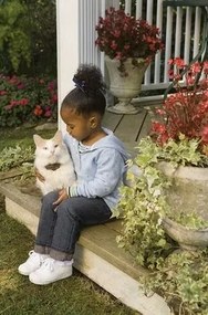 PetSafe® Ogrodzenie elektryczne dla kota Deluxe