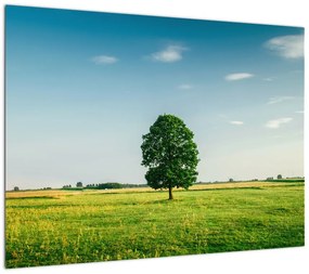 Obraz drzewa na środku łąki (70x50 cm)