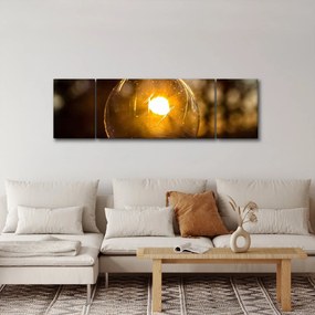 Obraz - Przezroczysta bańka (170x50 cm)