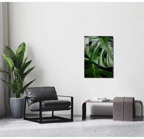 Szklany obraz 50x70 cm Monstera – Wallity