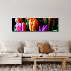 Obraz tulipanów na czarnym tle (170x50 cm)