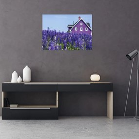 Obraz na szkle - lawendowe pole (70x50 cm)