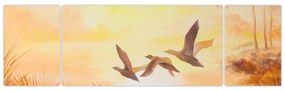 Obraz - Żurawie o zachodzie słońca (170x50 cm)