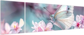 Obraz - Motyl na drzewie wiśni (170x50 cm)