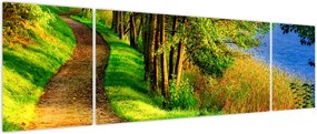 Obraz szlaku wzdłuż wody (170x50 cm)