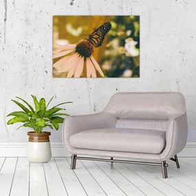 Obraz na szkle motyla na kwiatku (70x50 cm)