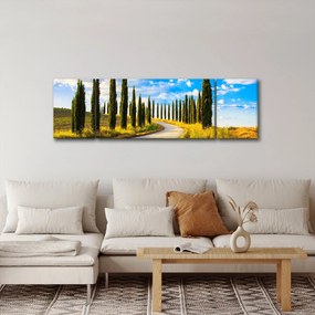 Obraz - Krajobraz (170x50 cm)