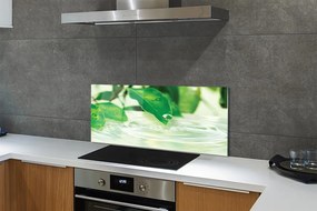 Szklany Panel Krople Deszczu na Liściach