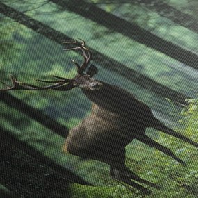 Obraz - Jeleń w głebokim lesie (170x50 cm)