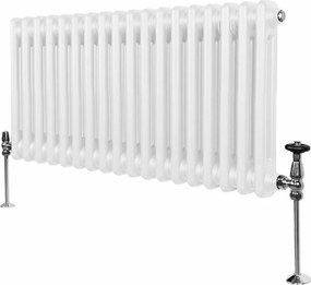 Tradycyjny grzejnik 2-kolumnowy - 300 x 832 mm - biały