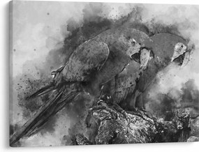 Obraz - Papugi akwarelowe (70x50 cm)