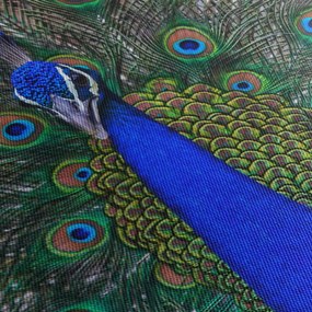Obraz - Paw (70x50 cm)