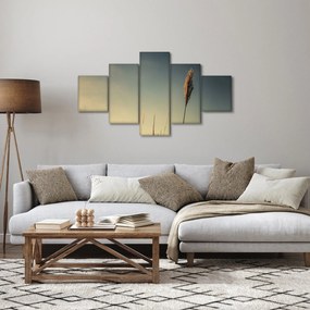 Obraz z trawą (125x70 cm)