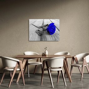 Obraz na szkle - Niebieska róża (70x50 cm)