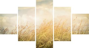 Obraz - Pole jesienią (125x70 cm)