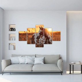 Obraz - Koń o zachodzie słońca (125x70 cm)