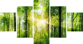 Obraz - Świt w lesie (125x70 cm)