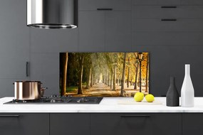 Panel Szklany do Kuchni Romantyczna Parkowa Alejka