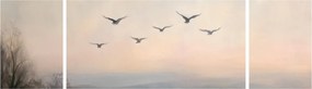 Obraz - Stado ptaków (170x50 cm)