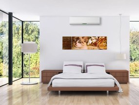 Obraz kota w doniczce (170x50 cm)