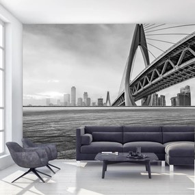 Fototapeta - Zachód Słońca w Chongqing, czarno - biała (196x136 cm)