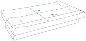 Szara rozkładana wersalka z motywem psa B6-H32