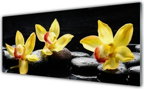 Panel Szklany Królewska Biała Orchidea