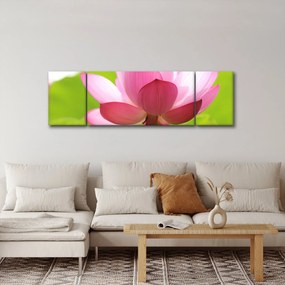 Obraz kwiatu lotosu (170x50 cm)