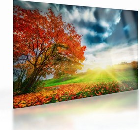 Obraz na szkle skąpanego w słońcu krajobrazu (70x50 cm)
