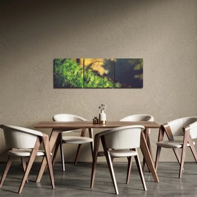 Obraz mchu z grzybem (z zegarem) (90x30 cm)