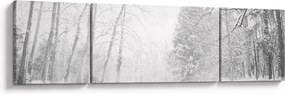 Obraz - Drewniane molo zimą (170x50 cm)