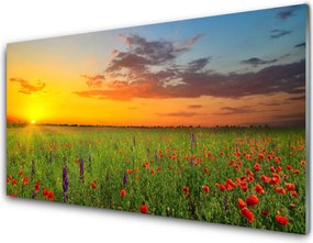 Panel Szklany Słoneczna Polana Kwiatowa