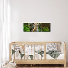 Obraz biegnącego tygrysa (z zegarem) (90x30 cm)