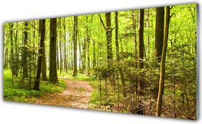 Panel nad blat kuchenny Ścieżka W Głębi Lasu