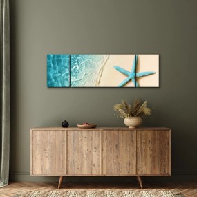 Obraz - Rozgwiazda na plaży (170x50 cm)