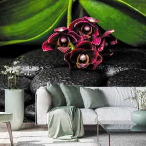Fototapeta - Orchidea i kamienie (196x136 cm)