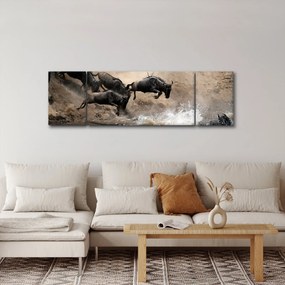 Obraz - Stado antylop gnu (170x50 cm)