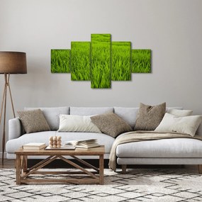 Obraz trawy (125x70 cm)