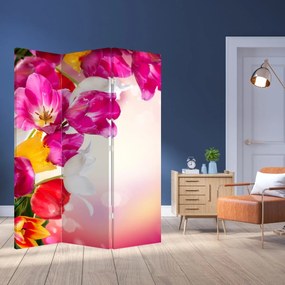 Parawan - Tulipany (126x170 cm)