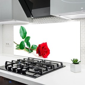 Panel Szklany Aksamitna Róża Ogrodowa