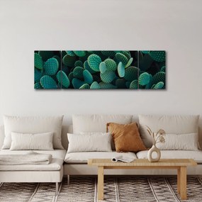 Obraz - Opuncja (170x50 cm)