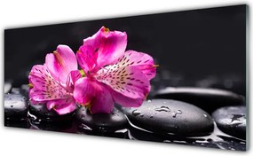 Panel Szklany Harmonia Kamieni i Kwiatów