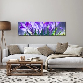 Obraz kwiatów w deszczu (170x50 cm)