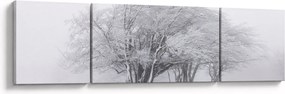 Obraz - Biała zima (170x50 cm)