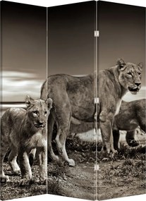 Parawan - Czarno - białe lwy (126x170 cm)